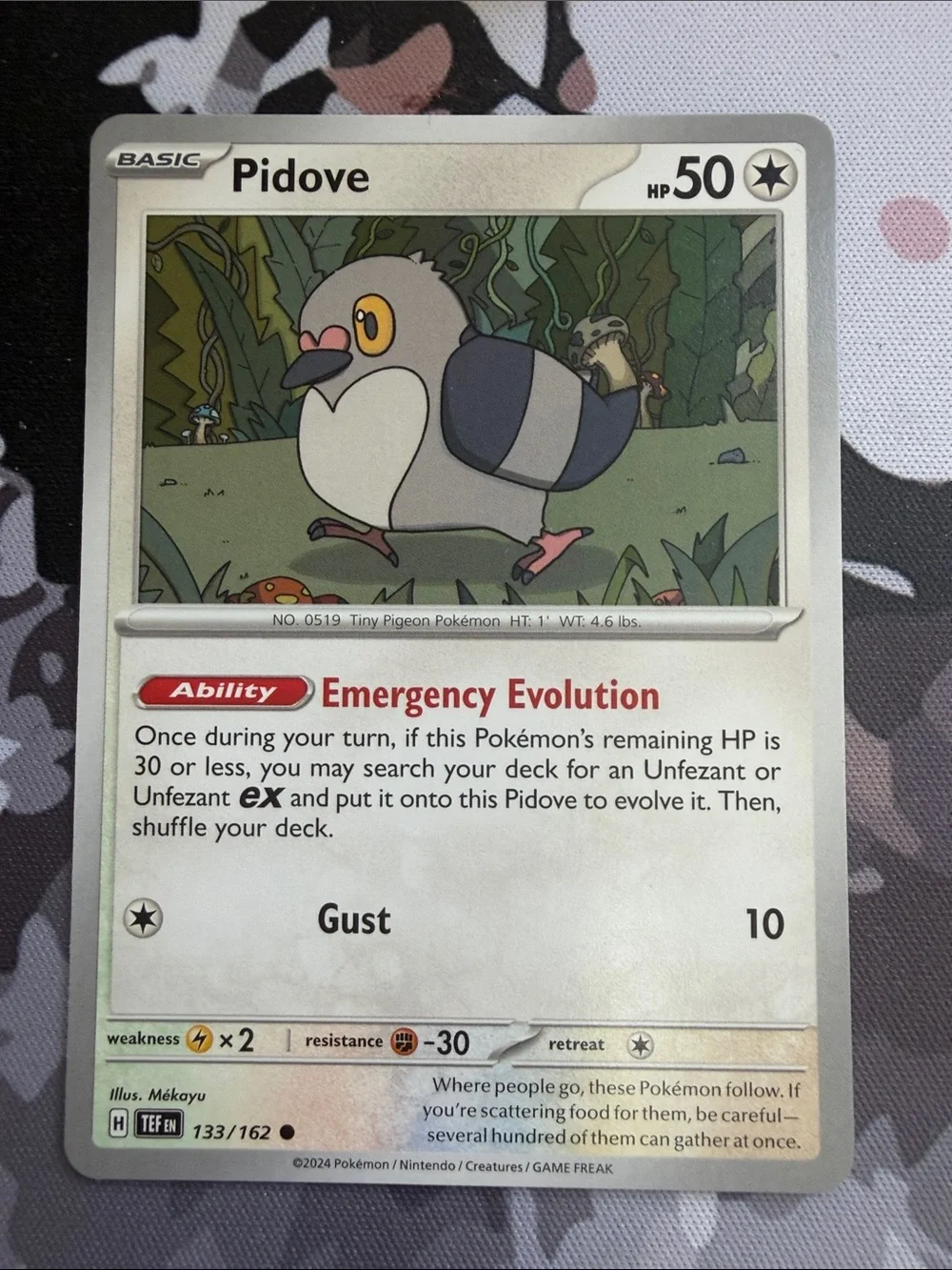 Pidove Evolution Line Lot | Pokémon GO + Temporal Forces | ✨5/$25✨
